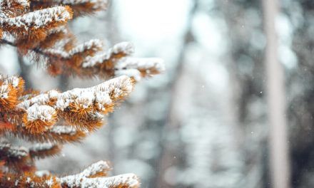 TOP 21 CANCIONES DE NAVIDAD CLÁSICAS