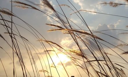 PLAYLIST MÚSICA RELAJANTE 2 | Temas para concentrarse y las historias que los inspiraron 💆‍♀️