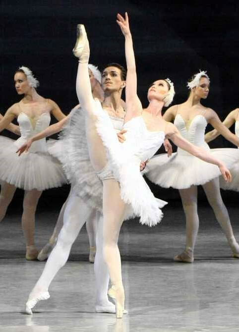 swan lake music tchaikovsky swan lake music