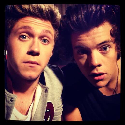 Harry Styles and Niall Horan One Direction albums